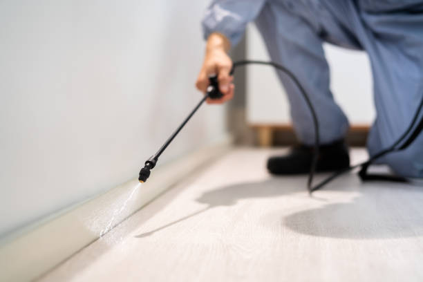 Licensed Pest Control service in Crescent City, CA - Nex Pest Control