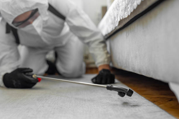 Professional Pest Control technician working in Crescent City, CA