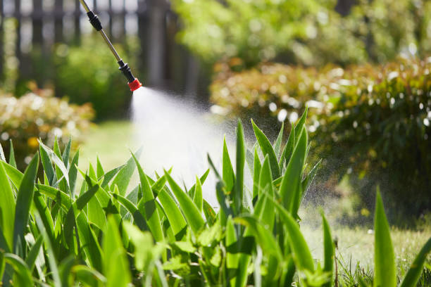24/7 Emergency Bed Bug Control experts in Crescent City, CA