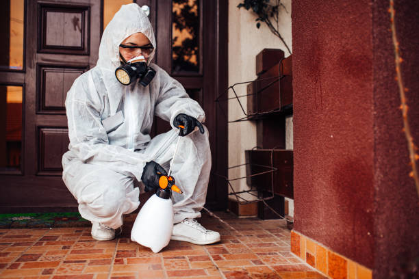 Reliable Bed Bug Control contractor in Crescent City, CA by Nex Pest Control