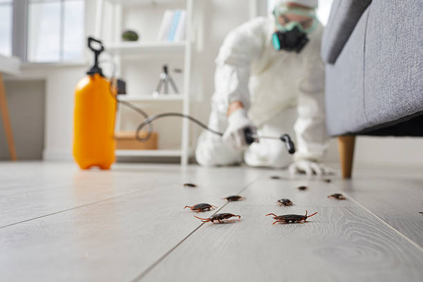 Trusted Bed Bug Control service in Crescent City, CA - Nex Pest Control