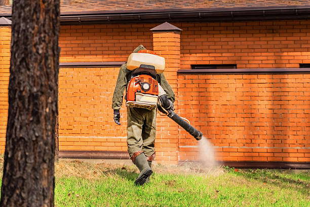 Trusted Rodent Control service in Crescent City, CA - Nex Pest Control